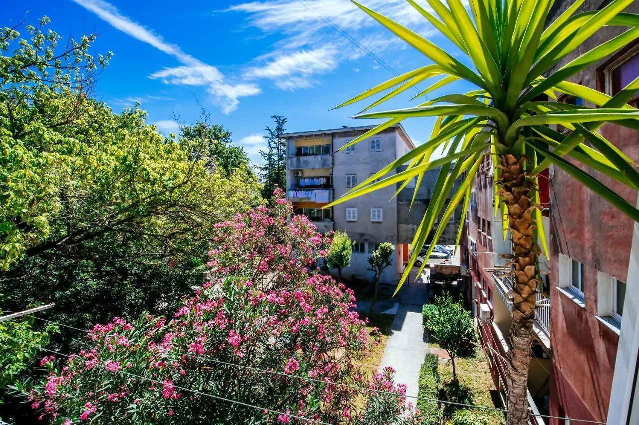 Apartments Toman Zadar